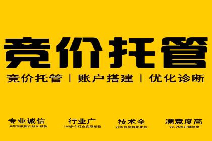 某公司通过百度竞价实现业务快速增长的案例